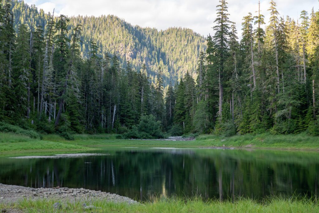 photo of pine lake, olympic national forest